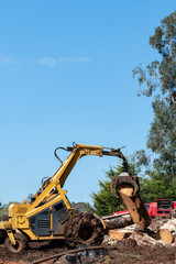 Tree removal excavator on a site