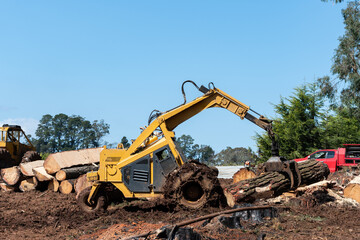 Tree removal excavator on a site