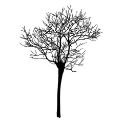 Tree silhouette isolated illustration on white background