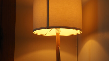 Single lamp in the corner of the room Floor lamp