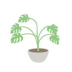 Fototapeta na wymiar monstera in a pot in flat vector style. house plant isolated