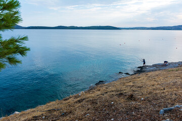 View of the forest of Bistis at the end of the picturesque city of Ermioni, Argolida, Peloponnese, Greece
