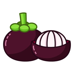 Color Mangosteen Vectors Illustration