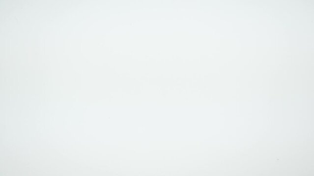 壁を登っていくニホンヤモリ