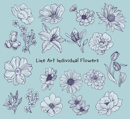 Sketch of variety flowers element set. hand-drawings monochrome with line art vector.