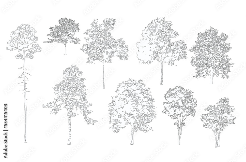 Fototapete Minimal style cad tree line drawing, Side view, set of graphics trees elements outline symbol for architecture and landscape design drawing. Vector illustration in stroke fill in white. 