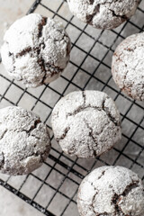 Chocolate chip cracked cookies. Metallic rack with fresh baked chocolate crinkle cookies in icing sugar on white textured background, top view, flat lay