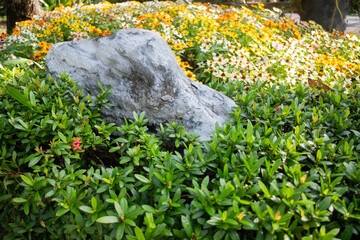 Botanical garden green branches of plant pot