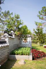 Botanical garden green branches of plant pot