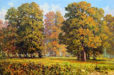 glade illuminated by the sun