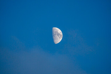 Moon