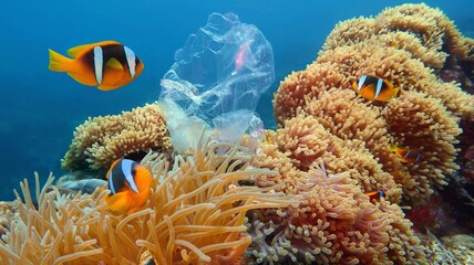 Fototapeta na wymiar Beautiful coral reef with sea anemones and clownfish polluted with plastic bag - environmental protection concept
