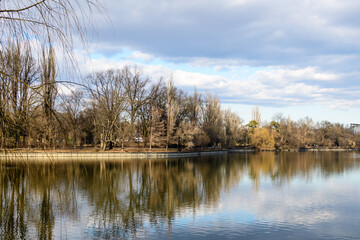 Naklejka na ściany i meble Landscape with large old trees near Herastrau lake in King Michael I Park (Herastrau) in Bucharest, Romania, in a sunny winter day