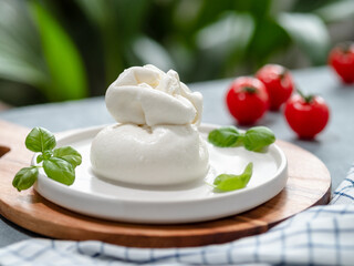 Fresh Italian cheese on white circle plate. White ball of burrata or burratina cheese, decorated basil and tomatoes. Soft white burrata cheese ball aesthetic on blurred green background, copy space