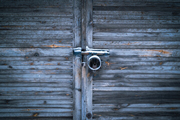 Old painted door. Wood texture.