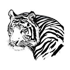 Tiger head silhouette. Tiger head hand draw In Black Lines isolated on white Background.