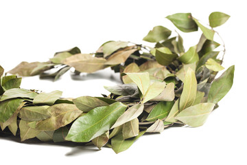 Wreath of laurel leaves isolated on white. Dried laurel leaf seasoning