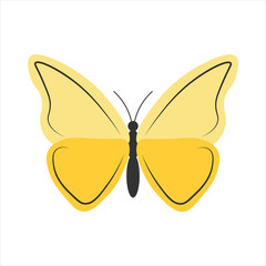 Butterfly Vector Illustration
