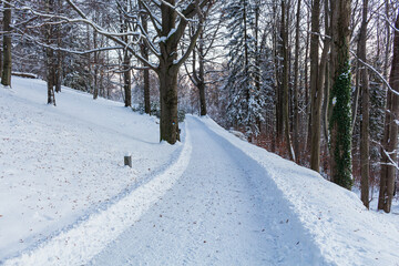 Obraz premium The road through the winter, snowy forest. Trees in the snow. Snow hidden path