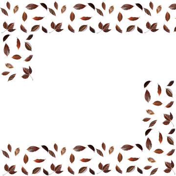 Photo frame with brown leaves on isolated white background.