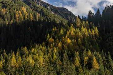 Herbsttag in Tirol