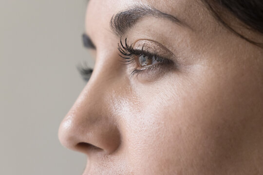 Brown Eyes Close Up Of Young Beautiful Black Haired Woman With Healthy Smooth Skin Looking Away. Side View, Cropped Shot. Female Model Promoting Beauty Care, Cosmetology.