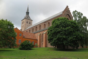 Fototapeta premium Dom zu Odense, Fünen, Dänemark