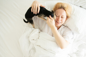 dog in bed, cute pet wakes up the owner in the morning