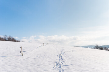 sunny day on field in the snow with footsteps and blue sky
