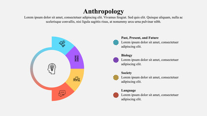 Infographic template of anthropology concept with icons and text space. - obrazy, fototapety, plakaty