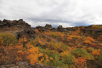 Obraz premium Dimmuborgir, or the Black Fortress, is lava fields in the Lake Mývatn area.