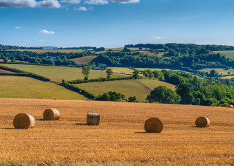Field with hay bales English country scene like cotton reels
