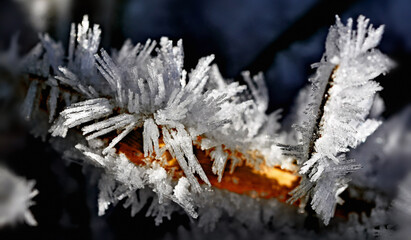 Eiskristalle Ice crystals  Nahaufnahme Close up black  background 