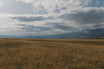 landscape in the mountains