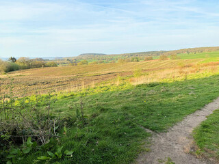 Fototapeta na wymiar A view of the Cheshire Countryside at Peckforton