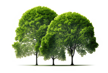 Green trees in a group, isolated on a white background. Generative AI