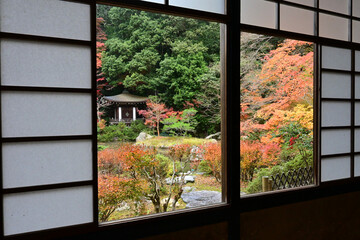 秋の京都市 毘沙門堂雪見窓から眺める庭園