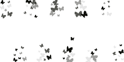 Romantic black butterflies isolated vector background. Summer ornate moths. Detailed butterflies isolated baby illustration. Delicate wings insects patten. Nature beings.
