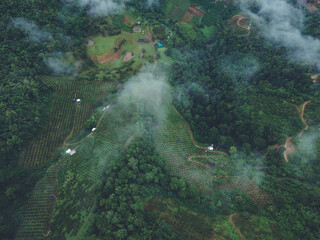 Top view of vegetable farm on the hill