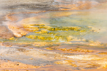 scenic foggy boiling fountain paint pot at yellow stone national park at fountain paint pots trail