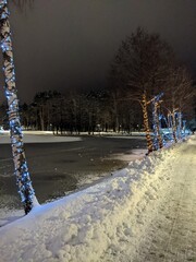 snowy frozen lake view in the winter park in the eve of christmas