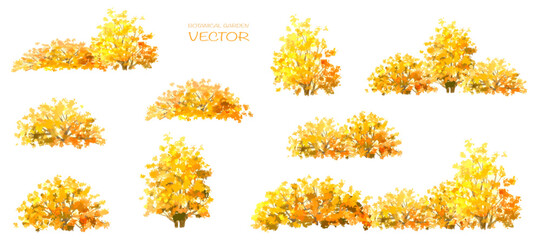 Vector watercolor blooming flower tree or forest side view isolated on white background for landscape and architecture drawing,elements for environment and garden,botanical for section in autumn   