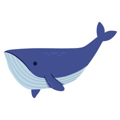 whale animal cartoon illustration 