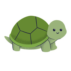 cute turtle animal illustration