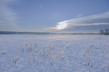 Równina, pola i łąki pokryte warstwą śniegu. Jest mroźny, słoneczny poranek. Gałęzie...