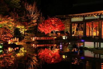 Obraz premium 岩手県奥州市 えさし藤原の郷 紅葉ライトアップ