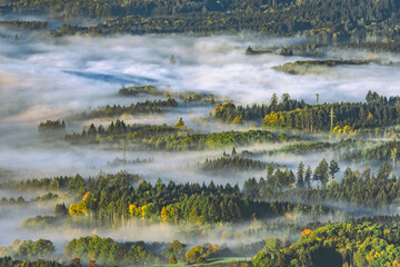 Nebel über den Wäldern des Dinkelberges