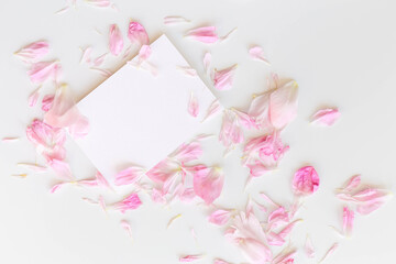 Flatlay composition of pink peony petals and an empty postcard on the white background