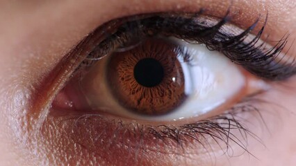 Eyes, face and vision of woman with focus, awareness and cosmetics, contact lenses and wellness. Closeup, zoom and portrait of person with brown eyes, eyelashes and healthy optical sight for beauty