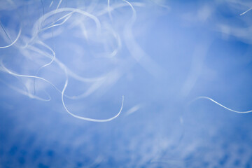 Extreme macro of polyester stable fiber on blue background